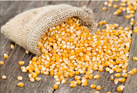 Image de la catégorie Grains de pop corn
